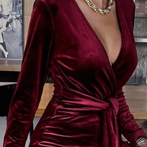 Luxe Burgundy Velvet Plunging Neck Straight Leg Jumpsuit - Picture 4 of 5